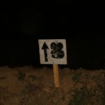 Maripo summer paradise 07