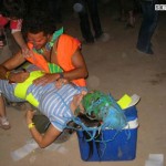 Maripo summer paradise 06