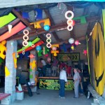 El canto del cucullo 09 (viu de linas-huesca)